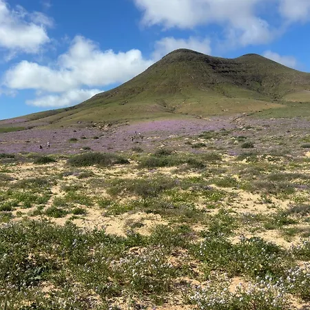 Tranquilo Sun * Caleta De Fuste