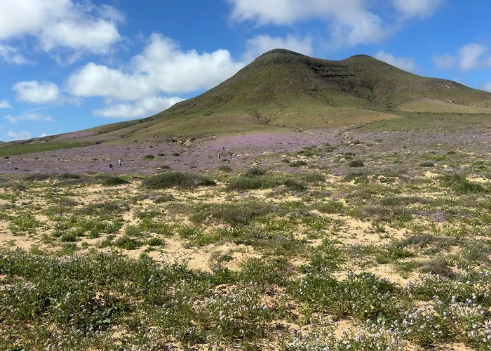 Tranquilo Sun * Caleta De Fuste